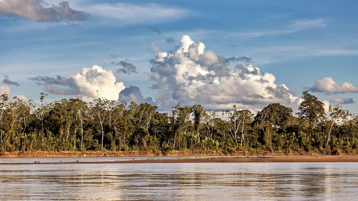 Framed Print : Lush Forest Print with Beni River and Dramatic Sky Framed Print : Lush Forest Print with Beni River and Dramatic Sky