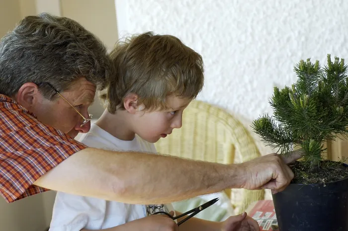 Framed Print : Man and Boy Cutting Pine Tree Print Framed Print : Man and Boy Cutting Pine Tree Print