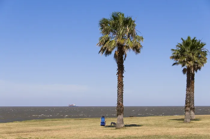 Framed Print : Man Alone with Deckchair at the Rambla, Montevideo Print Framed Print : Man Alone with Deckchair at the Rambla, Montevideo Print