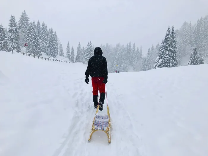 Framed Print : Man Pulling Sledge through Snow, Spitzingsee, Germany Print Framed Print : Man Pulling Sledge through Snow, Spitzingsee, Germany Print