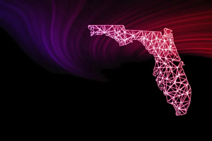 Framed Print : Map of Florida Print, Polygonal Mesh Line Map Framed Print : Map of Florida Print, Polygonal Mesh Line Map