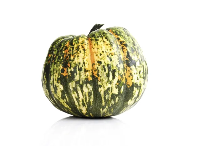Framed Print : Marrow Marrow Print by ImageBROKER Framed Print : Marrow Marrow Print by ImageBROKER