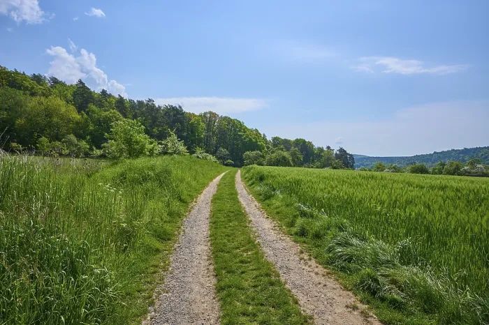 Framed Print : Elsenfeld Meadow Path Print, Spessart, Bavaria Framed Print : Elsenfeld Meadow Path Print, Spessart, Bavaria
