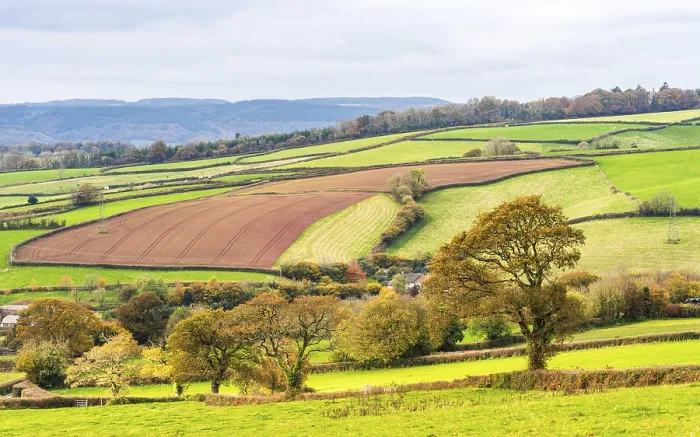 Framed Print : Devon Landscape Print: Autumn Colors Over Meadows and Fields Framed Print : Devon Landscape Print: Autumn Colors Over Meadows and Fields