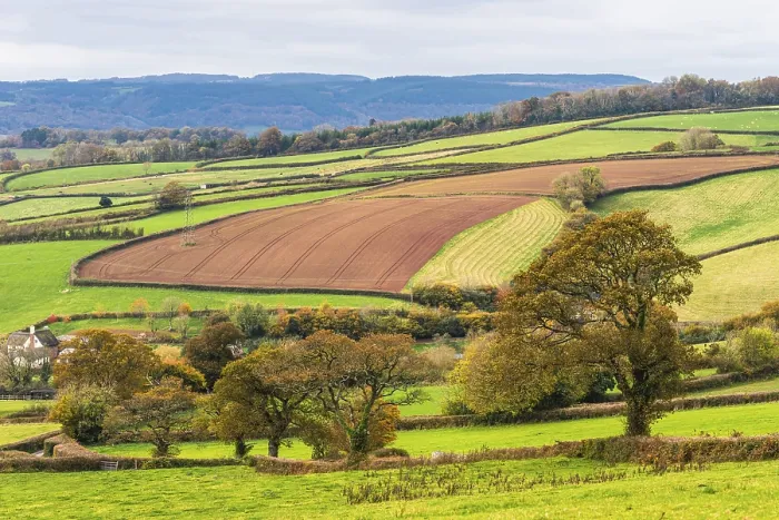 Framed Print : Print of Devon Countryside in Autumn Colors Framed Print : Print of Devon Countryside in Autumn Colors