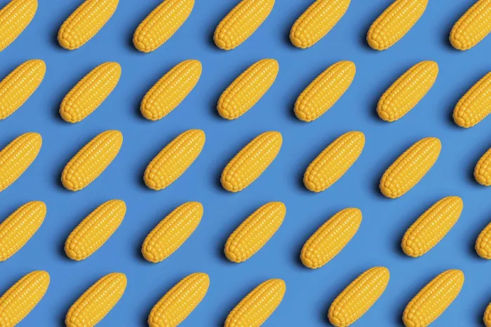 Framed Print : Plastic Corn Pattern Print: Examining Junk Food Culture Framed Print : Plastic Corn Pattern Print: Examining Junk Food Culture
