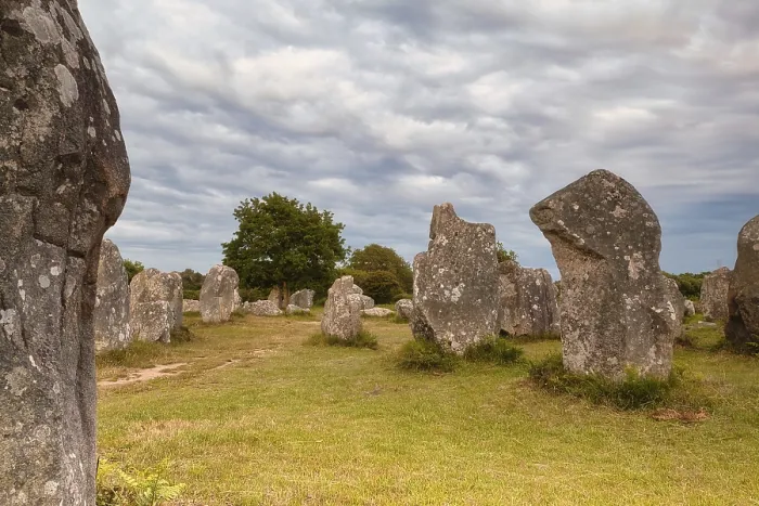 Framed Print : Megalithic stone rows from Kerzerho, Morbihan, France Print Framed Print : Megalithic stone rows from Kerzerho, Morbihan, France Print