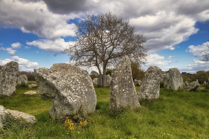 Framed Print : Megalithic Stone Rows Print, Erdeven, Morbihan, France Framed Print : Megalithic Stone Rows Print, Erdeven, Morbihan, France