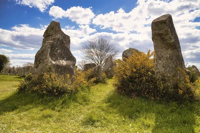Framed Print : Megalithic Stone Rows Print, Erdeven, Morbihan, France Framed Print : Megalithic Stone Rows Print, Erdeven, Morbihan, France