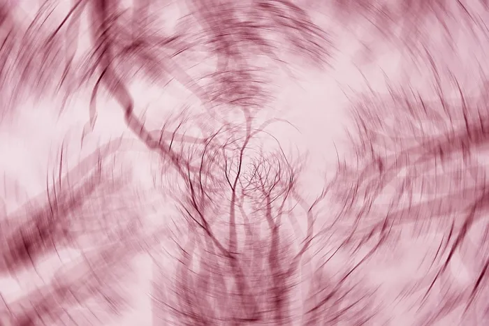 Framed Print : Warm Pink Tree Branch Abstract Print Framed Print : Warm Pink Tree Branch Abstract Print