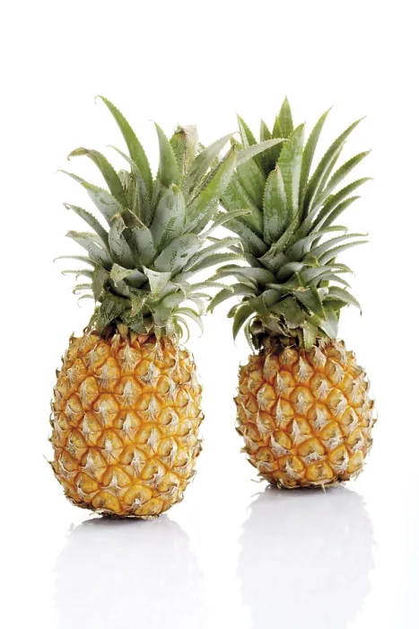 Framed Print : Two Miniature Pineapples Print Framed Print : Two Miniature Pineapples Print