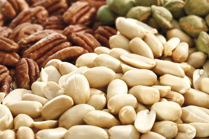 Framed Print : Mixed Nuts Print, Peanuts, Salted Pistachios and Pecans Framed Print : Mixed Nuts Print, Peanuts, Salted Pistachios and Pecans