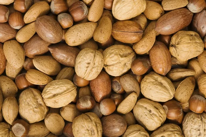 Framed Print : Mixed Nuts Print: Walnuts, Hazelnuts, Almonds and Pecans Framed Print : Mixed Nuts Print: Walnuts, Hazelnuts, Almonds and Pecans