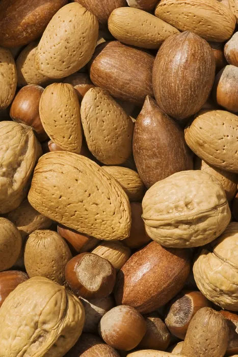 Framed Print : Mixed Nuts Print with Walnuts, Hazelnuts, Almonds and Pecans Framed Print : Mixed Nuts Print with Walnuts, Hazelnuts, Almonds and Pecans