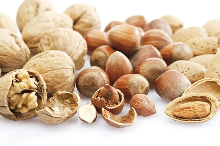 Framed Print : Mixed Nuts Print: Walnuts, Hazelnuts, Almonds Framed Print : Mixed Nuts Print: Walnuts, Hazelnuts, Almonds