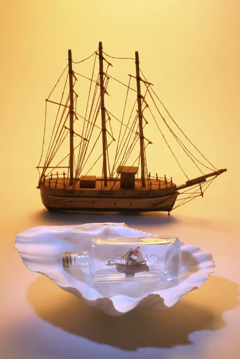 Framed Print : Model Ship and Ship in a Bottle on a Seashell Print Framed Print : Model Ship and Ship in a Bottle on a Seashell Print