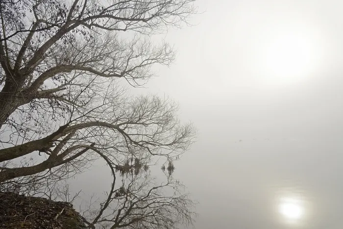 Framed Print : Mohnesee Print: Dense Fog and Reflection on Smooth Lake Framed Print : Mohnesee Print: Dense Fog and Reflection on Smooth Lake
