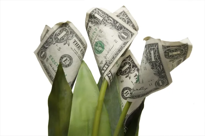 Framed Print : Monet Print: Money is a Flower Framed Print : Monet Print: Money is a Flower