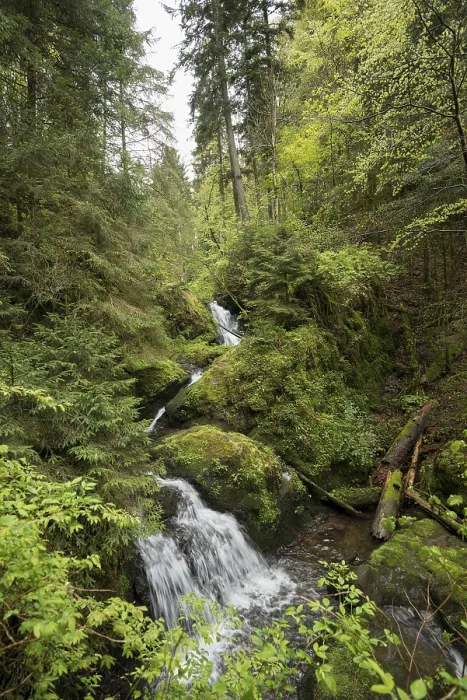 Framed Print : Moss-covered rocks and waterfall print, Wutach Gorge, Germany Framed Print : Moss-covered rocks and waterfall print, Wutach Gorge, Germany
