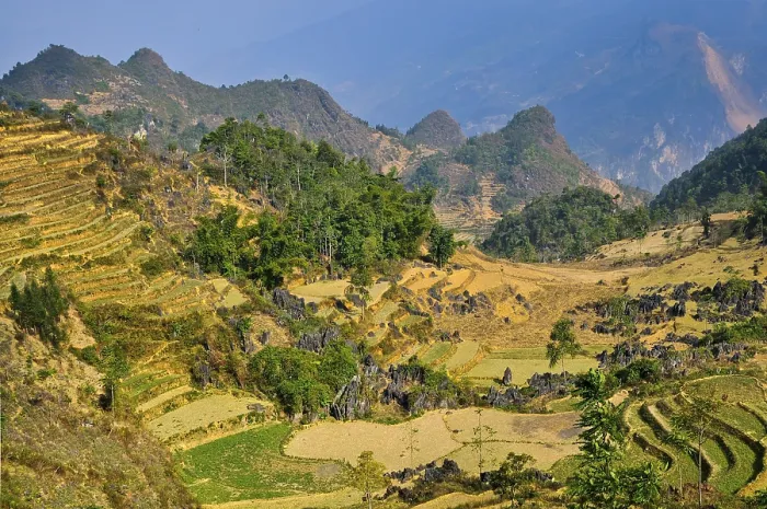 Framed Print : Mountain Landscape with Rice Fields Print, Vietnam Framed Print : Mountain Landscape with Rice Fields Print, Vietnam
