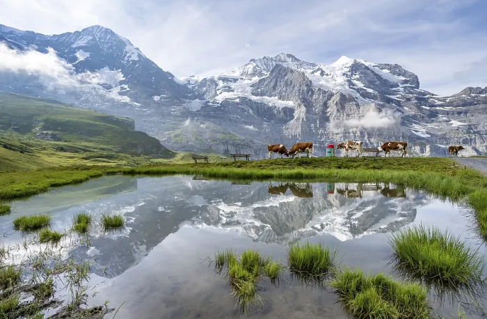 Framed Print : Mountain Panorama Print, Kleine Scheidegg, Switzerland Framed Print : Mountain Panorama Print, Kleine Scheidegg, Switzerland