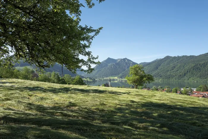 Framed Print : Mown Meadow Print, RisseckstraBe, Schliersee, Bavaria Framed Print : Mown Meadow Print, RisseckstraBe, Schliersee, Bavaria