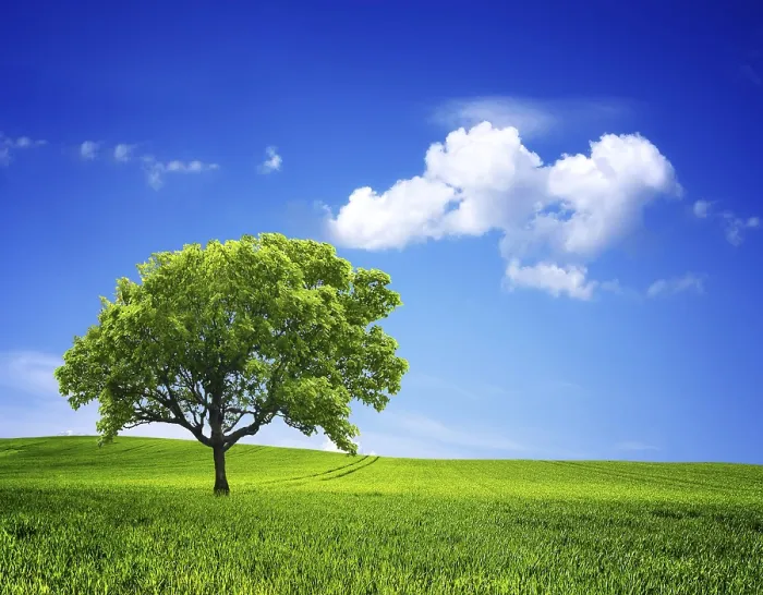 Framed Print : Nature Environment Print: Serene Landscape Framed Print : Nature Environment Print: Serene Landscape