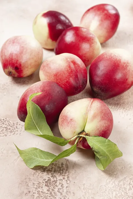 Framed Print : Nectarine Print: Close-Up Tabletop View