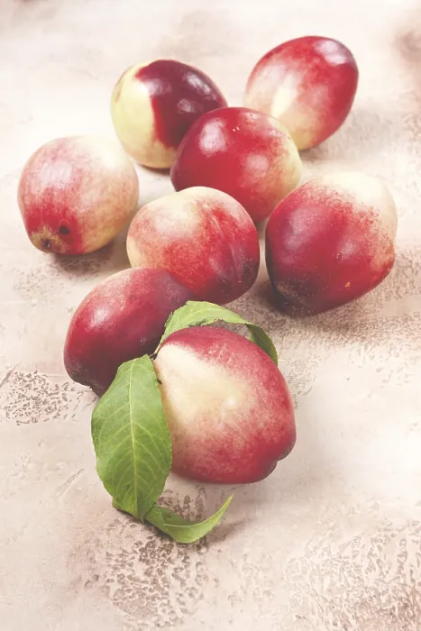 Framed Print : Nectarine Print: Close-Up Top View Framed Print : Nectarine Print: Close-Up Top View