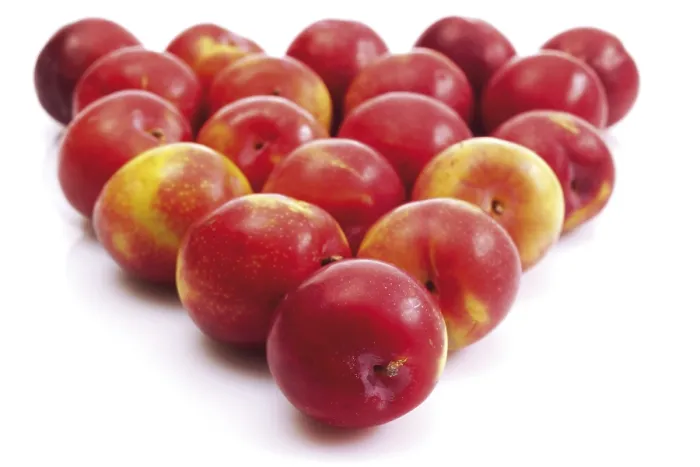 Framed Print : Nectarines Print by ImageBROKER Framed Print : Nectarines Print by ImageBROKER