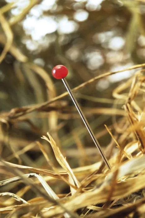 Framed Print : Needle in a Stack of Hay Print Framed Print : Needle in a Stack of Hay Print