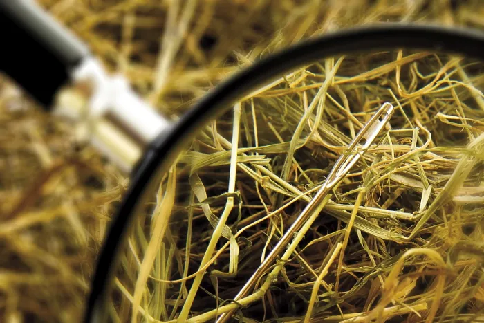 Framed Print : Needle in a Stack of Hay Print Framed Print : Needle in a Stack of Hay Print