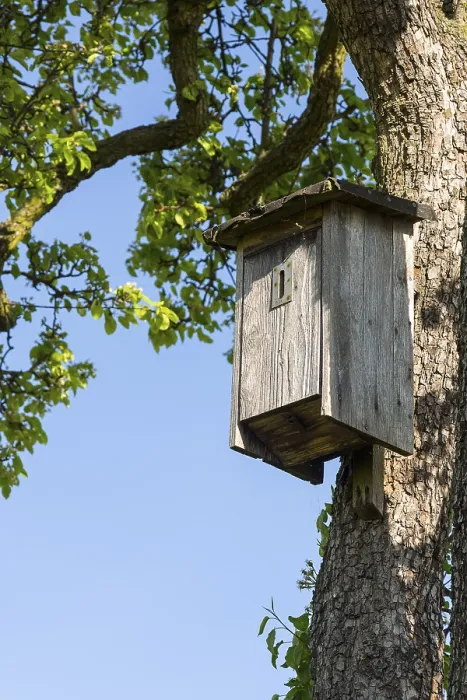 Framed Print : Nesting box for insects print, Saxony, Germany