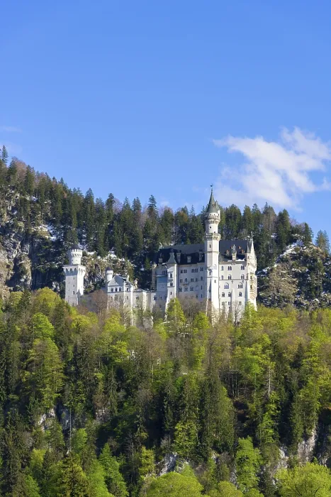 Framed Print : Neuschwanstein Castle Spring Print, Bavaria Germany Framed Print : Neuschwanstein Castle Spring Print, Bavaria Germany
