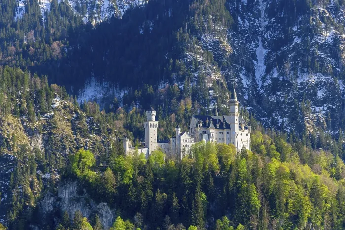 Framed Print : Neuschwanstein Castle in Spring Print, Bavaria, Germany Framed Print : Neuschwanstein Castle in Spring Print, Bavaria, Germany
