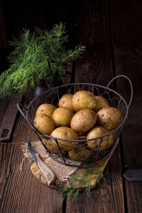 Framed Print : New Small Potatoes Print Framed Print : New Small Potatoes Print
