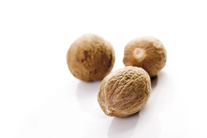 Framed Print : Nutmeg Print by ImageBROKER Framed Print : Nutmeg Print by ImageBROKER