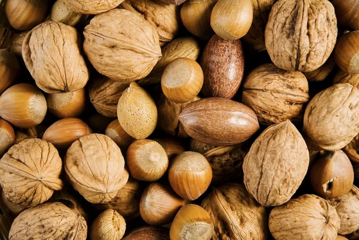 Framed Print : Nuts Nuts Print by imageBROKER