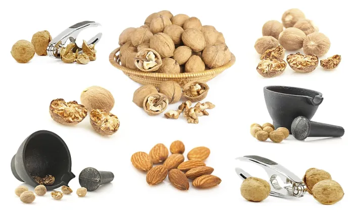 Framed Print : Nuts Background Print: Collection of Nuts and Spices Framed Print : Nuts Background Print: Collection of Nuts and Spices