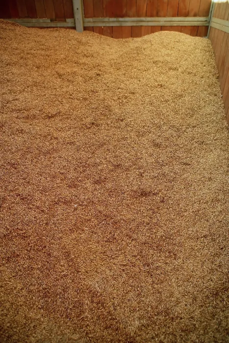 Framed Print : Oat Cereal Grain Texture Print Framed Print : Oat Cereal Grain Texture Print
