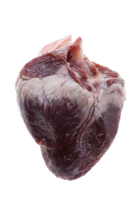 Framed Print : Raw Beef Heart Print on White