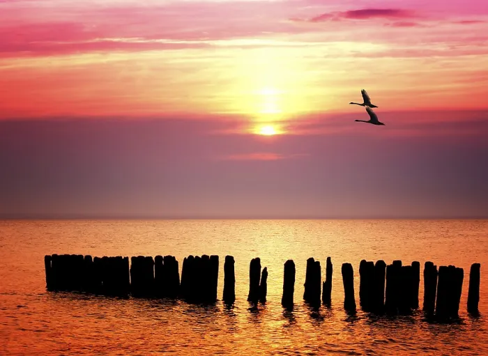 Framed Print : Ocean Sunset Print