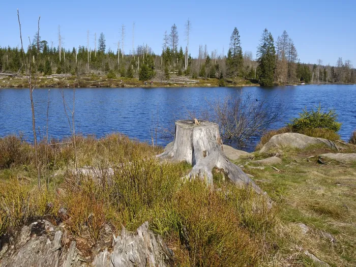 Framed Print : Oderteich Dam Print, Harz National Park, Germany Framed Print : Oderteich Dam Print, Harz National Park, Germany