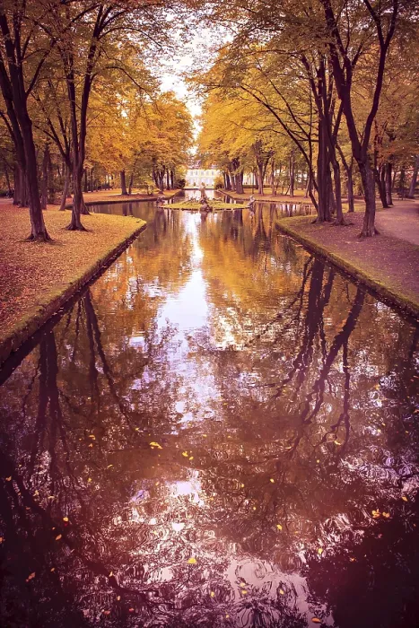 Framed Print : Old Park in Fall Print, Germany Framed Print : Old Park in Fall Print, Germany