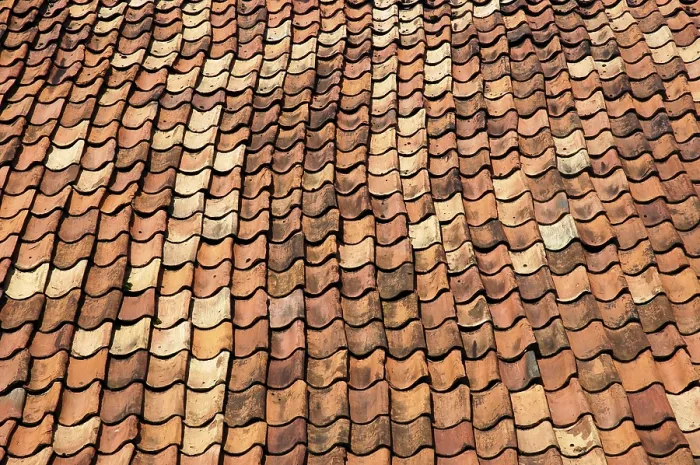 Framed Print : Old Rooftile Print Framed Print : Old Rooftile Print