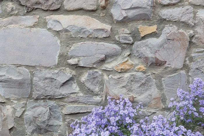 Framed Print : Old Stone Wall with Flowers Background Texture Print Framed Print : Old Stone Wall with Flowers Background Texture Print