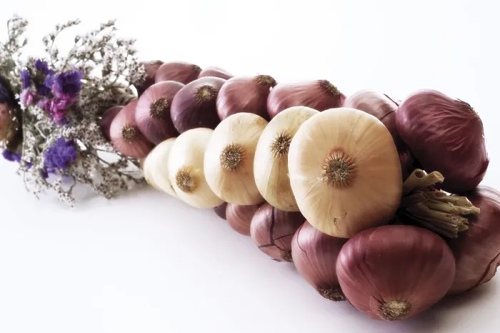 Framed Print : Onions Print by ImageBROKER Framed Print : Onions Print by ImageBROKER