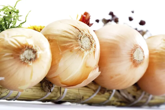 Framed Print : Onions Print by ImageBROKER Framed Print : Onions Print by ImageBROKER