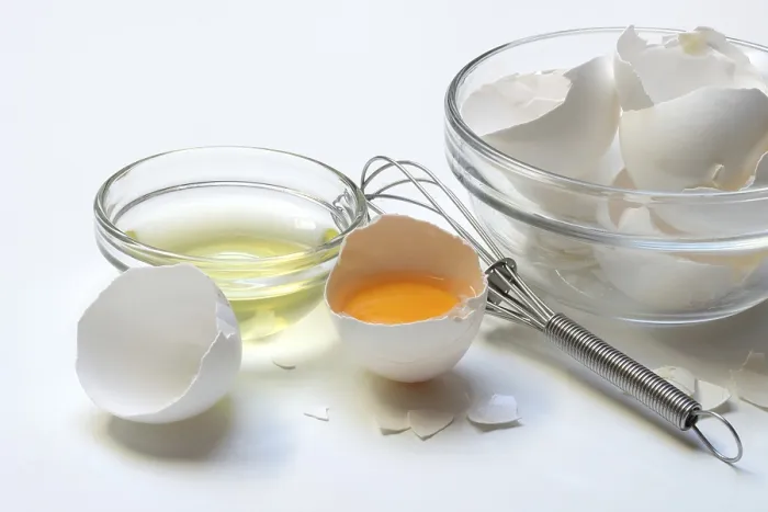 Framed Print : Opened Hen's Egg Print: Egg White in Shell and Shells Framed Print : Opened Hen's Egg Print: Egg White in Shell and Shells