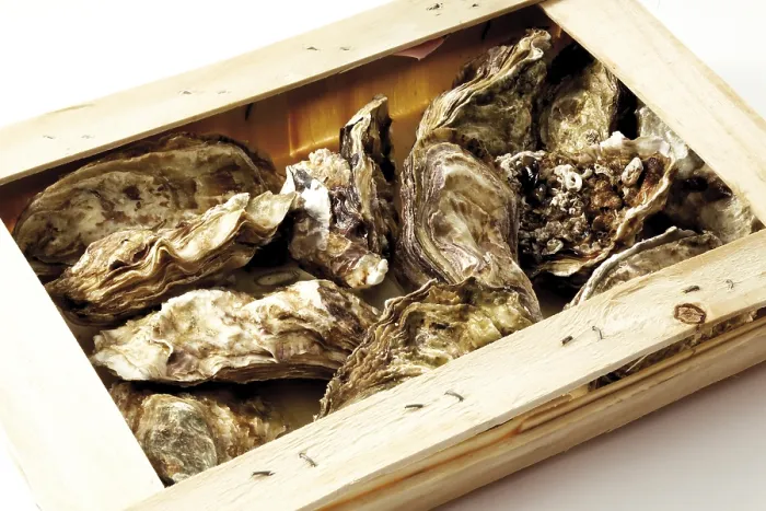 Framed Print : Oysters Print by imageBROKER Framed Print : Oysters Print by imageBROKER